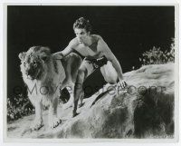 5d877 TARZAN THE FEARLESS 8x10 still '33 great close image of Buster Crabbe with pet lion!