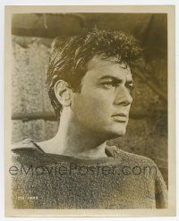 5d832 SPARTACUS English 8x10 still '61 super close up of Tony Curtis, classic Stanley Kubrick!