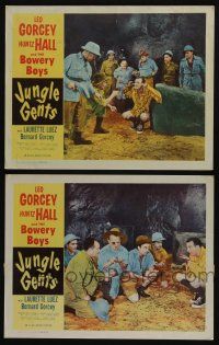 5g941 JUNGLE GENTS 2 LCs '54 Bowery Boys, sexy Laurette Luez, you'll go wild with laffs!