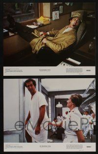5g394 OH HEAVENLY DOG 8 color 11x14 stills '80 Chevy Chase, Benji, Jane Seymour, canine images!