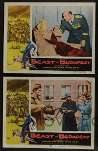 5g072 BEAST OF BUDAPEST 8 LCs '58 Gerald Milton, John Hoyt, Greta Thyssen, Hungarian Revolution!