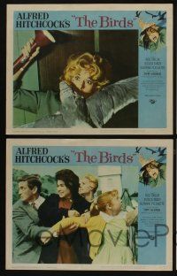5g080 BIRDS 8 LCs '63 Alfred Hitchcock, Tippi Hedren, Rod Taylor, Tandy, classic horror images!
