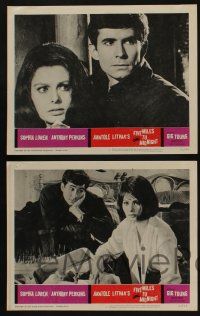 5g192 FIVE MILES TO MIDNIGHT 8 LCs '63 Le Couteau dans la Plaie, Sophia Loren & Anthony Perkins!