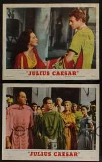 5g693 JULIUS CAESAR 5 LCs '53 Marlon Brando, James Mason & Greer Garson, Shakespeare