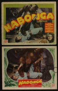 5g377 NABONGA 8 LCs '44 great images of Buster Crabbe, Julie London & fake giant gorilla!