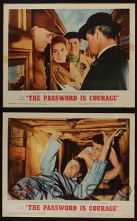 5g411 PASSWORD IS COURAGE 8 LCs '63 Dirk Bogarde in an English version of The Great Escape!