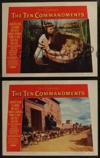 5g869 TEN COMMANDMENTS 3 LCs '56 Cecil B. DeMille, Nina Foch finds baby Moses, huge cast scenes!