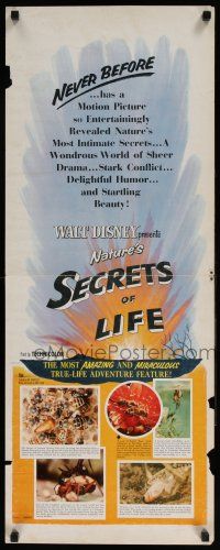 5j305 SECRETS OF LIFE insert '56 Disney's most amazing & miraculous True Life Adventure feature!