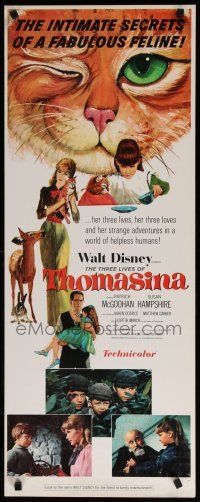 5j368 THREE LIVES OF THOMASINA insert '64 Walt Disney, great art of winking & smiling cat!