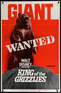 5r560 KING OF THE GRIZZLIES teaser 1sh '70 Disney, great artwork of giant bear on wanted poster!