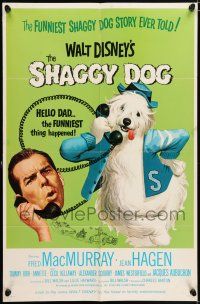 5r853 SHAGGY DOG 1sh R67 Disney, Fred MacMurray in the funniest sheep dog story ever told!
