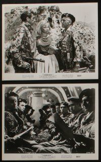 5s260 COMMANDO 16 8x10 stills '64 cool images of soldier Stewart Granger, Dorian Grey!