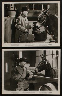 5s290 FRANCIS GOES TO WEST POINT 14 8x10 stills '52 Donald O'Connor & wacky talking mule!