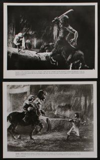 5s502 GOLDEN VOYAGE OF SINBAD 8 8x10 stills '73 w/great special effects scenes by Ray Harryhausen!