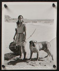 5s278 ISLAND OF THE BLUE DOLPHINS 15 8x10 stills '64 Native American Indian Celia Kaye & animals!