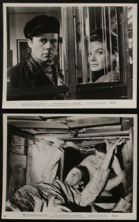 5s332 PASSWORD IS COURAGE 12 8x10 stills '63 Dirk Bogarde in an English version of The Great Escape