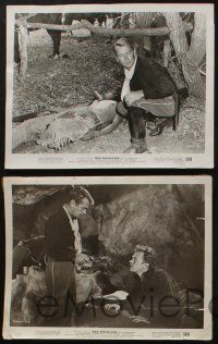 5s721 RED MOUNTAIN 5 8x10 stills '52 Alan Ladd, Lizabeth Scott, Arthur Kennedy, Civil War!