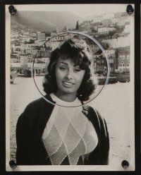 5s733 SOPHIA LOREN 5 8x10 stills '50-60s the sexy Italian in Black Orchid, with Omar Sharif, more!