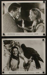 5s367 VALLEY OF THE EAGLES 11 8x10 stills '52 Terence Young, Nadia Gray, English Arctic thriller!