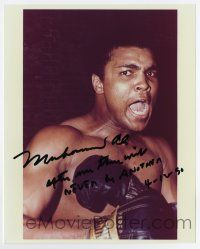 5t682 MUHAMMAD ALI signed color 8x10 REPRO still '90 best portrait of the legendary boxing champ!
