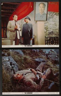 5w101 CHAIRMAN 8 color 11x14 stills '69 Intelligence can't keep Gregory Peck alive much longer!