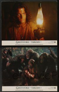 5w790 GREYSTOKE 4 color 11x14 stills '84 Christopher Lambert as Tarzan, Andie MacDowell!