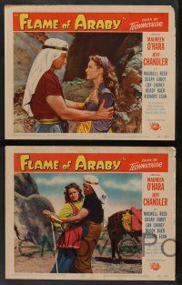 5w588 FLAME OF ARABY 6 LCs '51 Jeff Chandler, a tale of fiery love & high adventure!
