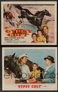 5w201 GYPSY COLT 8 LCs '54 Ward Bond, pretty Frances Dee, young Donna Corcoran & wild stallion!