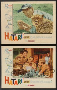 5w206 HATARI 8 LCs '62 Howard Hawks, John Wayne in Africa, Elsa Martinelli!