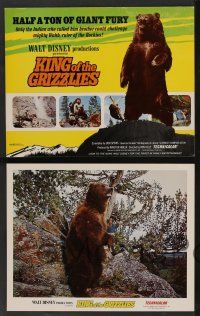 5w015 KING OF THE GRIZZLIES 9 LCs '70 Walt Disney, half a ton of giant fury, ruler of the Rockies!