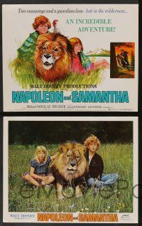 5w016 NAPOLEON & SAMANTHA 9 LCs '72 Michael Douglas, Jodie Foster & Johnny Whitaker & lion!