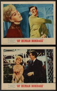 5w809 OF HUMAN BONDAGE 4 LCs '64 sexy Kim Novak, Laurence Harvey, directed by Bryan Forbes!