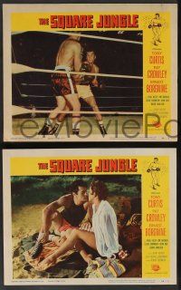 5w900 SQUARE JUNGLE 3 LCs '56 boxing Tony Curtis fighting in the ring and w/ Pat Crowley!