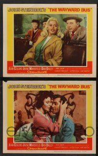 5w643 WAYWARD BUS 6 LCs '57 sexy Joan Collins & Jayne Mansfield, from John Steinbeck novel!