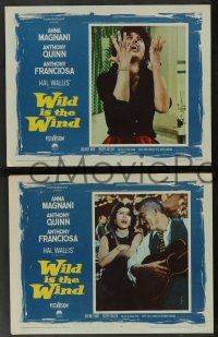 5w427 WILD IS THE WIND 8 LCs '58 Anthony Quinn, Tony Franciosa, sexy Anna Magnani!