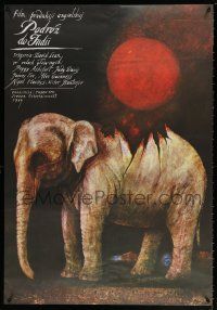 5y439 PASSAGE TO INDIA Polish 26x38 '86 David Lean, different elephant art by Wiktor Sadowski!