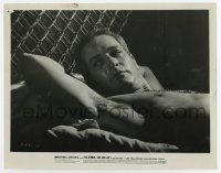 6a209 COOL HAND LUKE 8x10.25 still '67 best close up of barechested Paul Newman in his bunk!