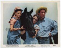 6a019 GYPSY COLT color 8x10 still '54 c/u of Ward Bond, Frances Dee & Donna Corcoran with horse!