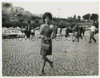 6a664 RAQUEL WELCH 8x10 news photo '66 wolves leer at her in sexy dress walking on Rome street!