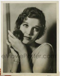 6a538 LORETTA YOUNG 6.75x8.5 news photo '28 young portrait holding kitten from Magnificent Flirt!