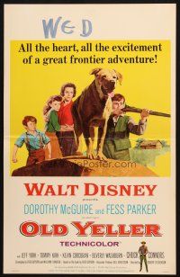 6b462 OLD YELLER WC R65 Dorothy McGuire, Fess Parker, art of Walt Disney's most classic canine!