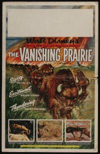 6b632 VANISHING PRAIRIE WC '54 a Walt Disney True-Life Adventure, cool art of stampeding buffalo!