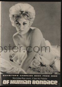 6b068 OF HUMAN BONDAGE pressbook '64 super sexy Kim Novak can't help being what she is!