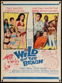 6c358 WILD ON THE BEACH 30x40 '65 Frankie Randall, Sherry Jackson, Sonny & Cher, teen rock & roll!