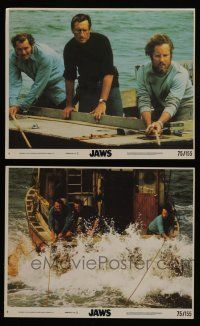 6h192 JAWS 2 8x10 mini LCs '75 Spielberg shark classic, Roy Scheider, Robert Shaw, Richard Dreyfuss