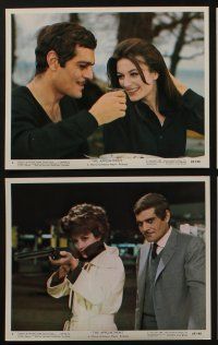 6h060 APPOINTMENT 8 color 8x10 stills '69 Omar Sharif, Anouk Aimee, directed by Sidney Lumet!