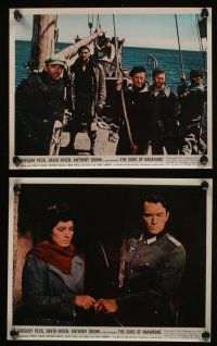6h027 GUNS OF NAVARONE 11 color 8x10 stills '61 Gregory Peck & all top cast members!