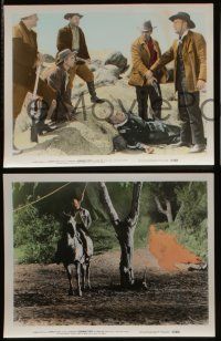 6h176 HANGMAN'S KNOT 3 color 8x10 stills '52 Randolph Scott, Donna Reed, Claude Jarman Jr.