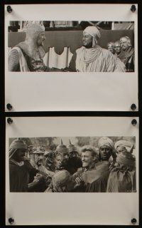 6h587 KING RICHARD & THE CRUSADERS 8 8x10 stills '54 Rex Harrison, Virginia Mayo, Sanders, Holy War!