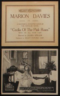 6h566 CECILIA OF THE PINK ROSES 8 8x10 LCs '18 wonderful images of gorgeous Marion Davis!